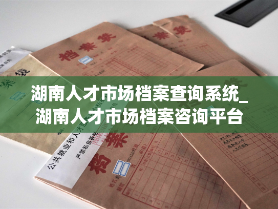 湖南人才市场档案查询系统_湖南人才市场档案咨询平台