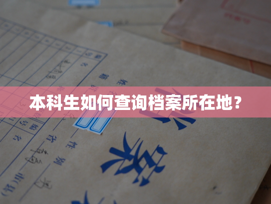 本科生如何查询档案所在地？