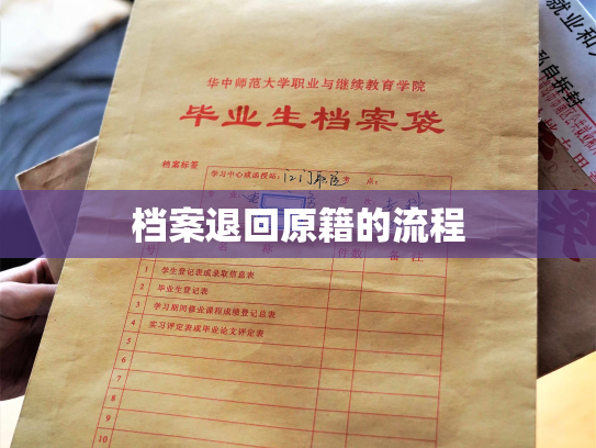 档案退回原籍的流程