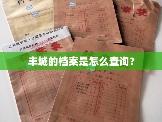 丰城的档案是怎么查询？