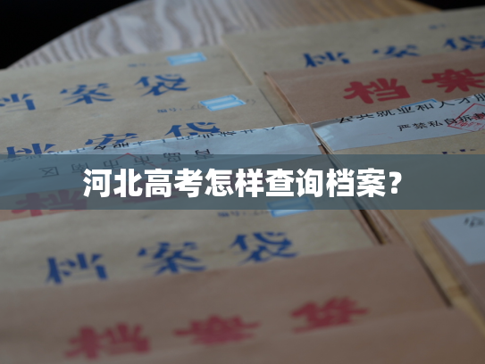 河北高考怎样查询档案？