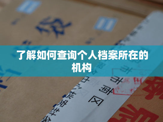 了解如何查询个人档案所在的机构
