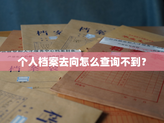 个人档案去向怎么查询不到？