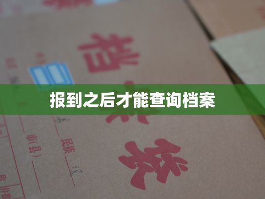 报到之后才能查询档案