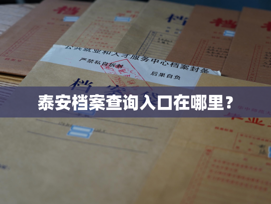 泰安档案查询入口在哪里？