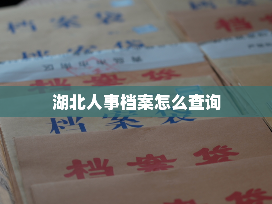 湖北人事档案怎么查询