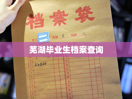 芜湖毕业生档案查询