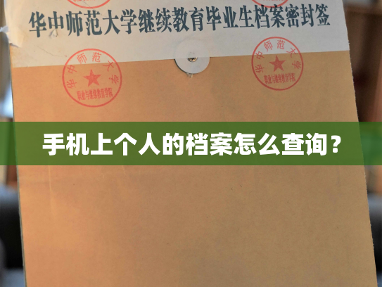 手机上个人的档案怎么查询？