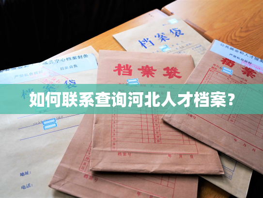 如何联系查询河北人才档案？