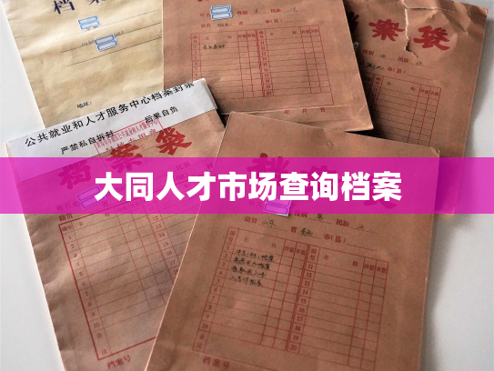 大同人才市场查询档案