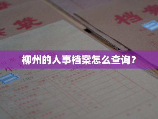 柳州的人事档案怎么查询？