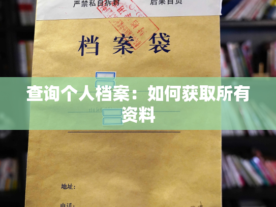 查询个人档案：如何获取所有资料