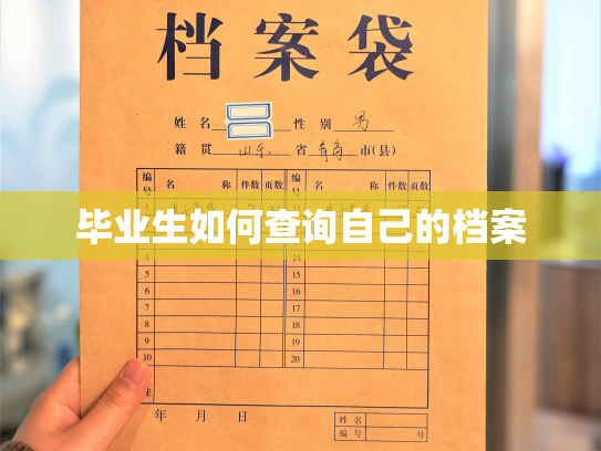 毕业生如何查询自己的档案