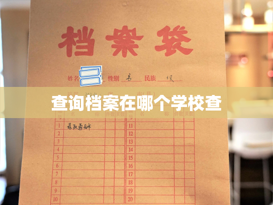 查询档案在哪个学校查