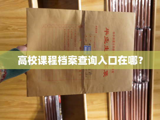 高校课程档案查询入口在哪？