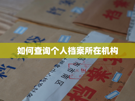 如何查询个人档案所在机构
