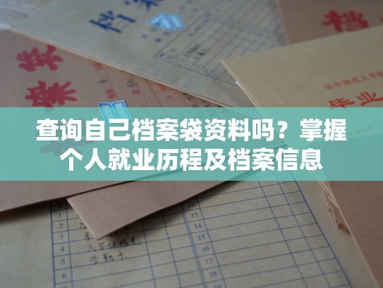 查询自己档案袋资料吗？掌握个人就业历程及档案信息
