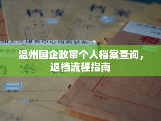 温州国企政审个人档案查询，退档流程指南