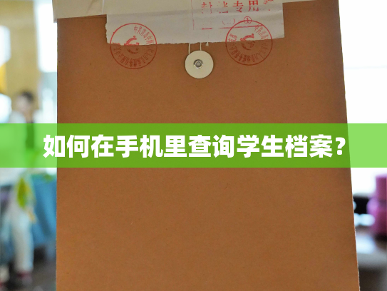 如何在手机里查询学生档案？
