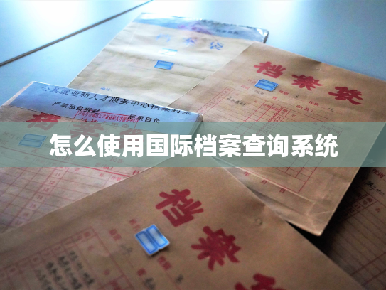 怎么使用国际档案查询系统