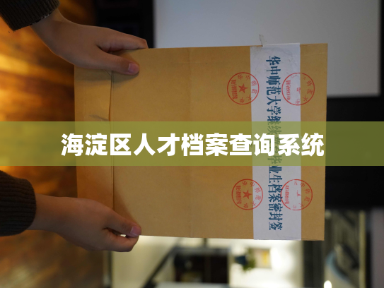 海淀区人才档案查询系统