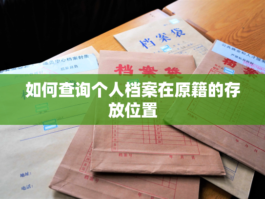 如何查询个人档案在原籍的存放位置