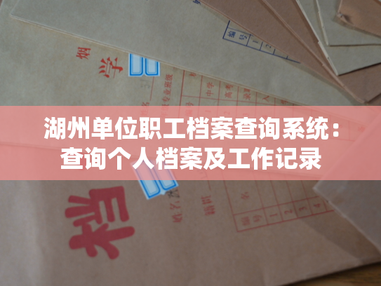 湖州单位职工档案查询系统：查询个人档案及工作记录