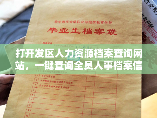 打开发区人力资源档案查询网站，一键查询全员人事档案信息