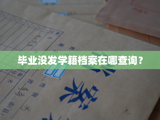 毕业没发学籍档案在哪查询？