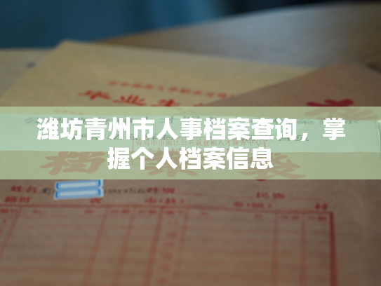 潍坊青州市人事档案查询，掌握个人档案信息