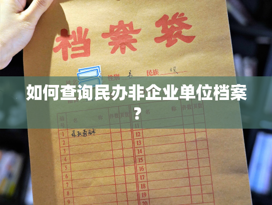 如何查询民办非企业单位档案？