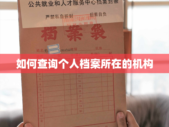如何查询个人档案所在的机构