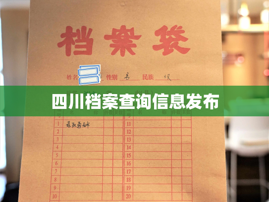 四川档案查询信息发布