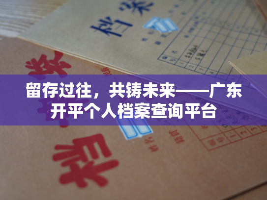 留存过往，共铸未来——广东开平个人档案查询平台