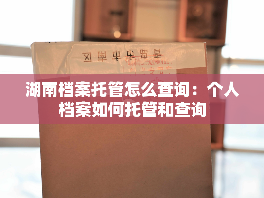 湖南档案托管怎么查询：个人档案如何托管和查询