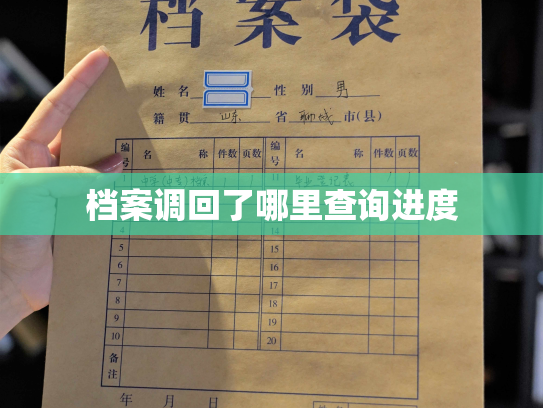 档案调回了哪里查询进度