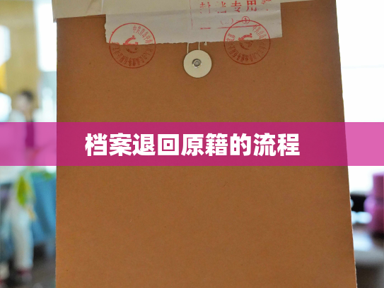 档案退回原籍的流程