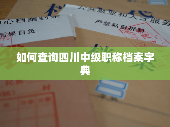 如何查询四川中级职称档案字典