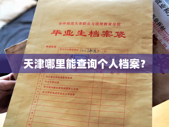 天津哪里能查询个人档案？