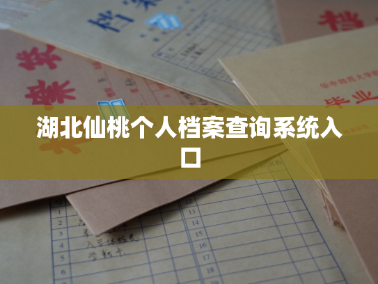 湖北仙桃个人档案查询系统入口