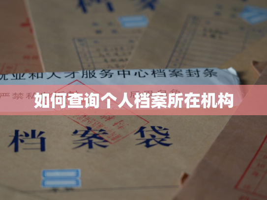 如何查询个人档案所在机构