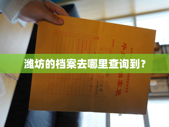 潍坊的档案去哪里查询到？