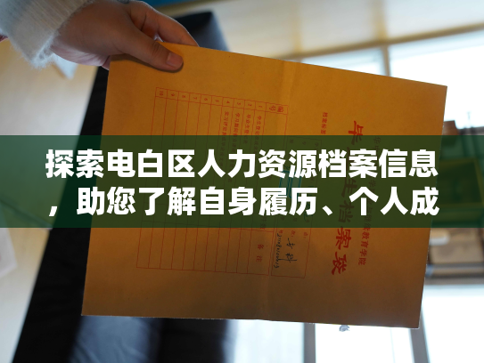 探索电白区人力资源档案信息，助您了解自身履历、个人成长