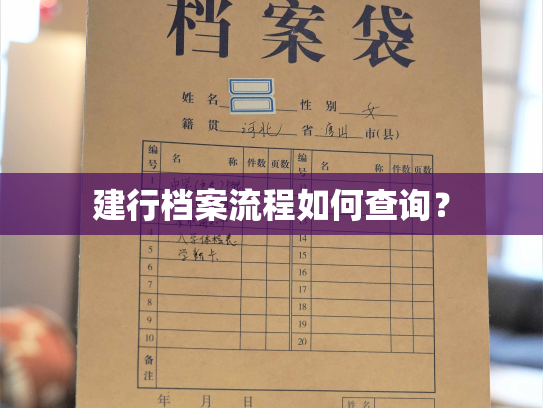 建行档案流程如何查询？