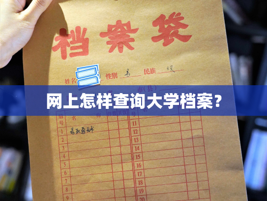 网上怎样查询大学档案？