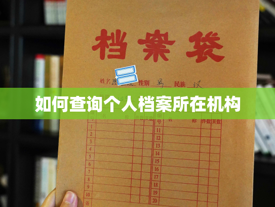 如何查询个人档案所在机构