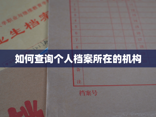 如何查询个人档案所在的机构