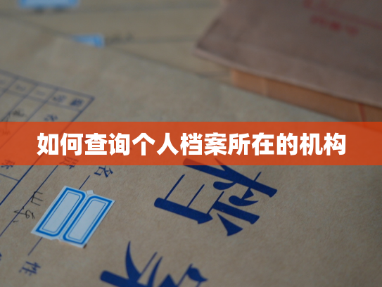 如何查询个人档案所在的机构