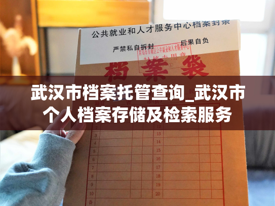 武汉市档案托管查询_武汉市个人档案存储及检索服务