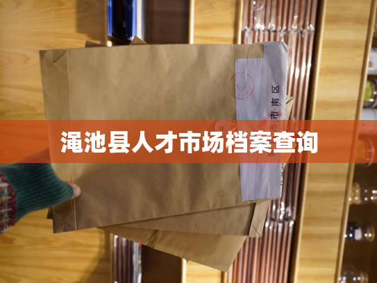 渑池县人才市场档案查询
